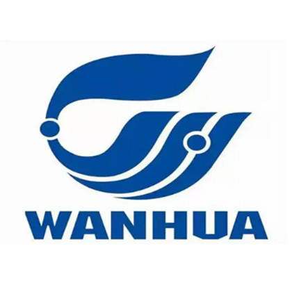 万华化学集团