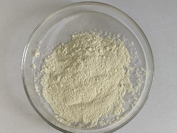 玉米蛋白肽
