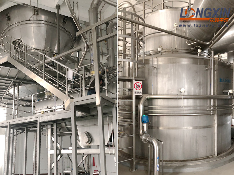 芽孢杆菌低温干燥制粒工艺